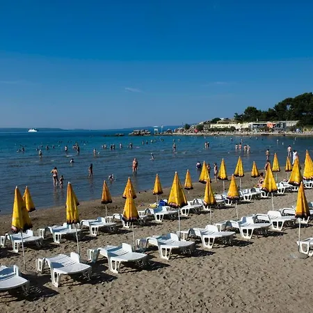 Divina Split